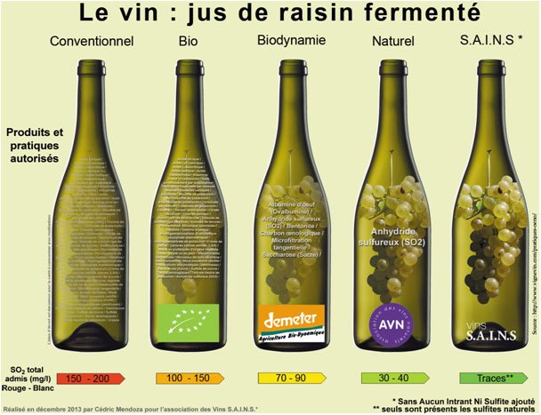 Vins bio, biodynamiques et naturels : quelles différences ?