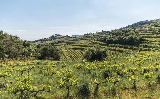 domaine de l'Ausseil